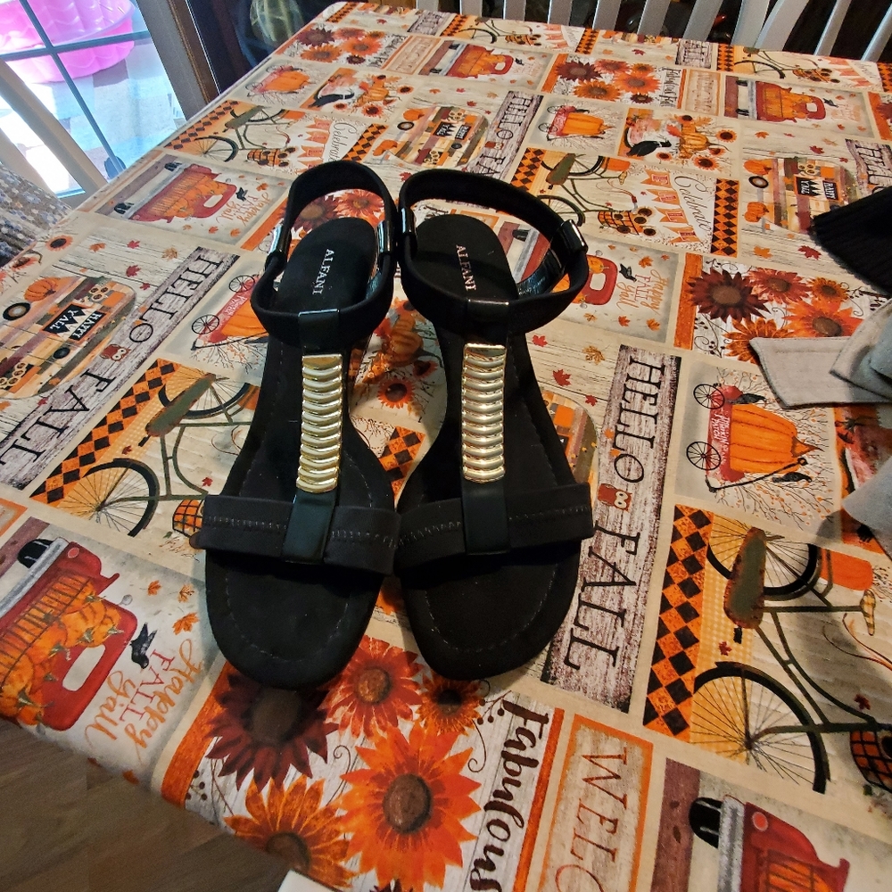 NWOB Womens Dress Sandals